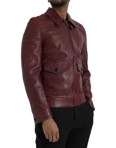 Dolce & Gabbana - Veste motard zippée en cuir exotique marron