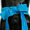 Dolce & Gabbana Blue Waist Ribbon Wide Bow Belt
