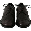Dolce & Gabbana Brown Leather Wingtip Derby Formal Shoes