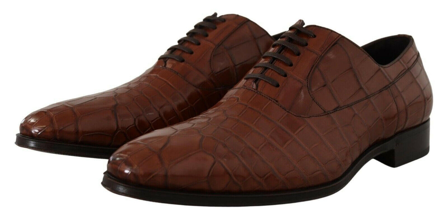 Chaussures habillées élégantes en cuir de crocodile exotique Dolce &amp; Gabbana