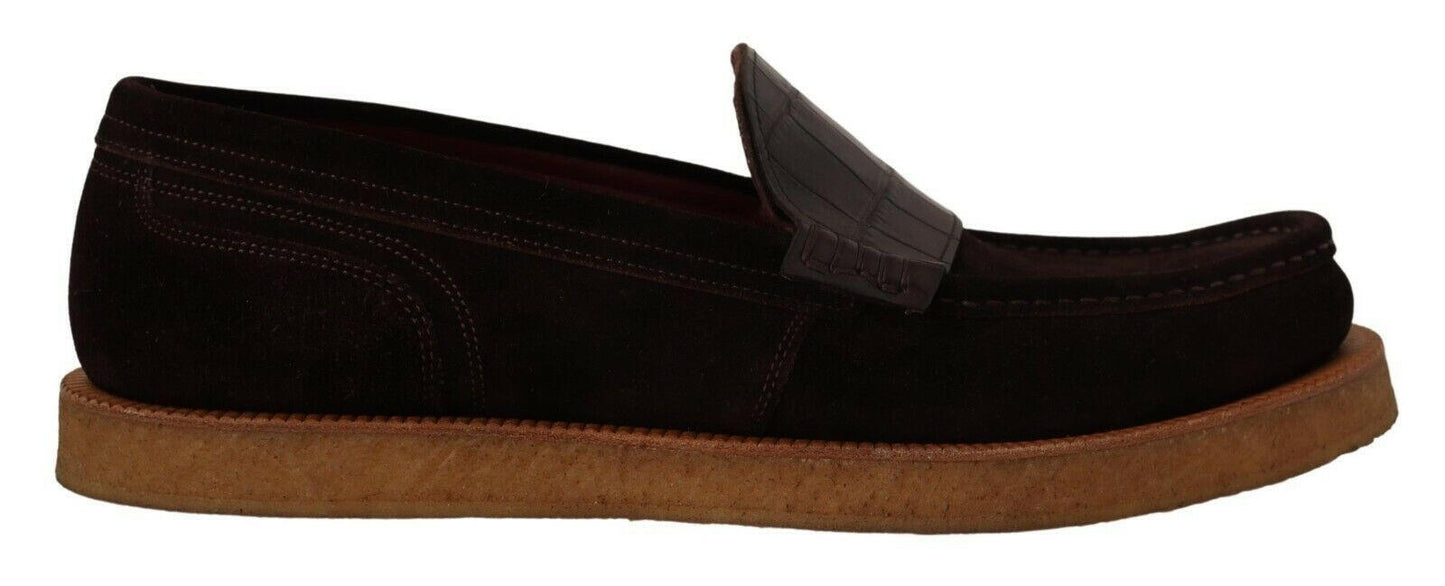 Mocassins élégants en daim et crocodile Dolce &amp; Gabbana marron
