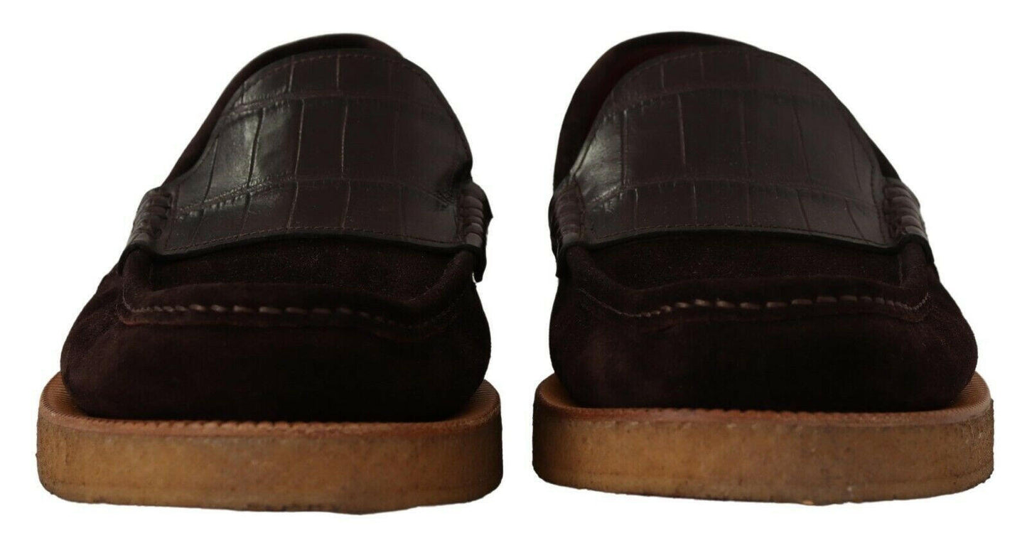 Mocassins élégants en daim et crocodile Dolce &amp; Gabbana marron