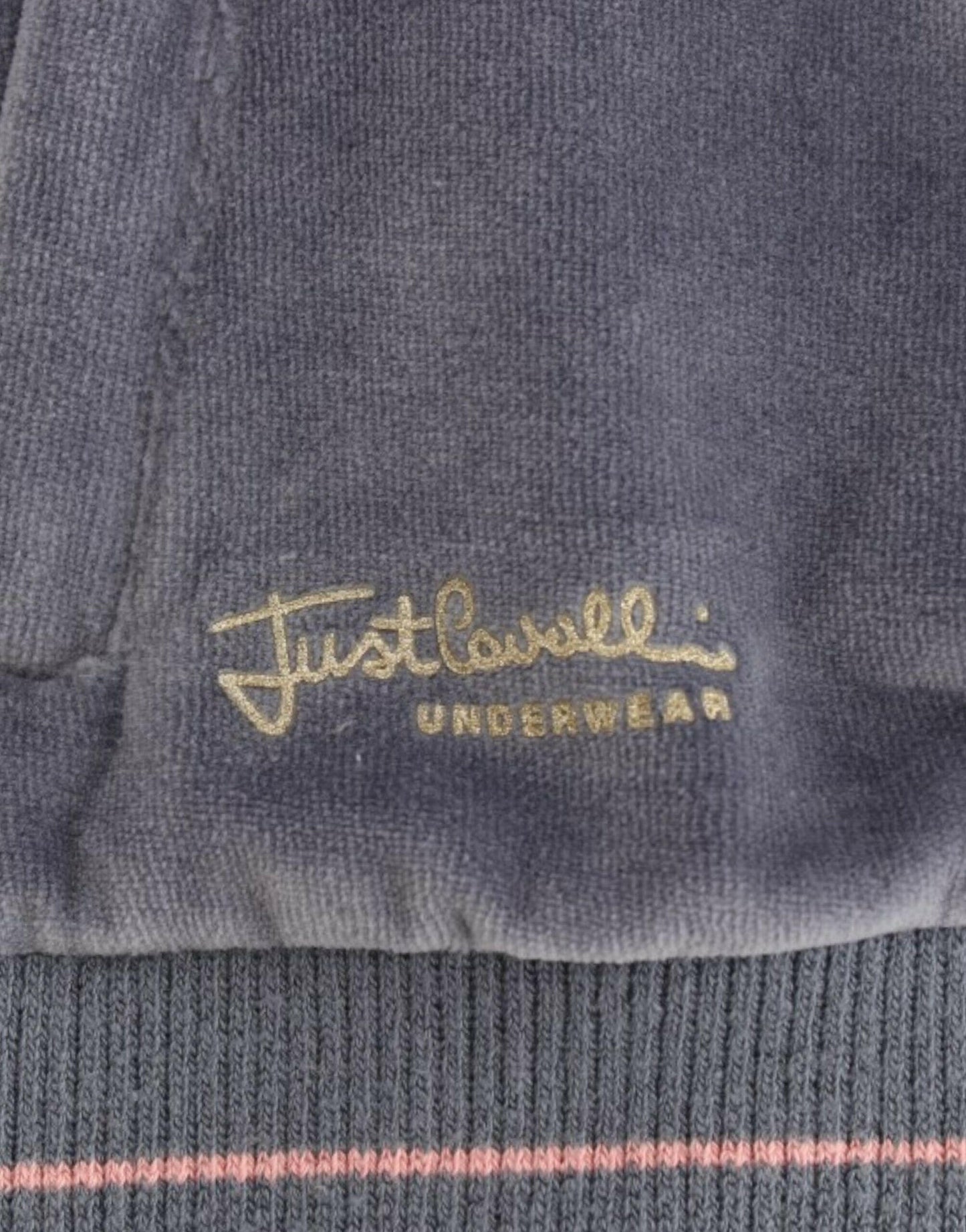 Cavalli Blue velvet zipup sweater