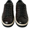 Dolce & Gabbana Brown Croc Exotic Leather Men Casual Sneakers Shoes