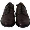 Dolce & Gabbana Brown Leather Brogue Derby Dress Shoes