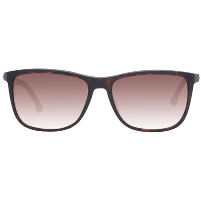 Police Brown Acetate & Plastic Sunglasses