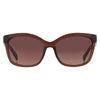 Guess Brown Resin Sunglasses