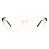 Pierre Cardin Bicolor Acetate Glasses (Frames)
