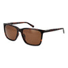 Timberland Braune Herren Sonnenbrille