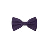 Dolce & Gabbana Purple Silk Bowtie
