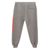Alexander McQueen Gray Cotton Athletic Pants