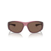 Arnette Multicolor Resin Sunglasses