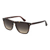 Web Brown Acetate Sunglasses