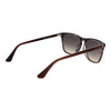 Web Brown Acetate Sunglasses