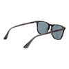 Web Black Acetate Sunglasses
