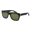 Serengeti Black Acetate Sunglasses