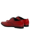 Dolce & Gabbana Red Exotic Leather Lace Up Dress Derby Shoes