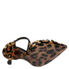 Dolce & Gabbana Brown Leopard Crystal Roses Pumps Shoes