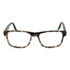 Converse Bicolor Acetate Glasses (Frames)