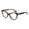 Polaroid Brown Plastic Glasses (Frames)