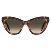 Moschino Brown Acetate Sunglasses