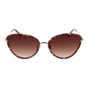 Maje Brown Acetate Sunglasses