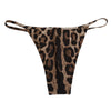 Dolce & Gabbana Brown Leopard Triangle Tanga Panty Underwear