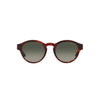 Giorgio Armani Red Acetate Sunglasses
