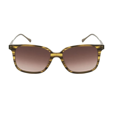 Belstaff Brown Titanium Sunglasses