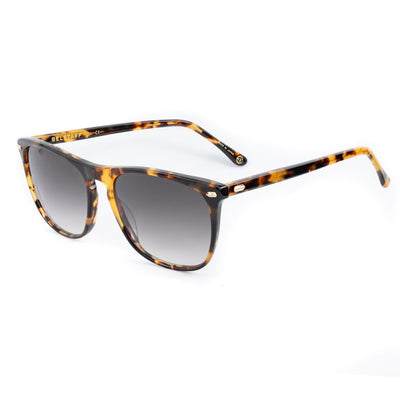Belstaff Brown Acetate Sunglasses