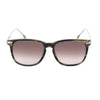 Belstaff Brown Titanium Sunglasses
