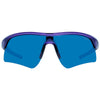 Polaroid Purple Plastic Sunglasses